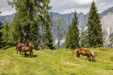 Brandlbergköpfe Anton-Proksch-Haus © Roland Hold