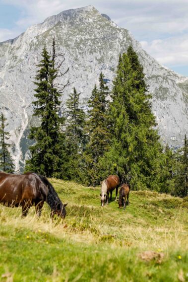 Brandlbergköpfe Anton-Proksch-Haus © Roland Hold